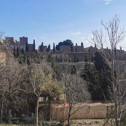 Eine besondere Art von Friedhof