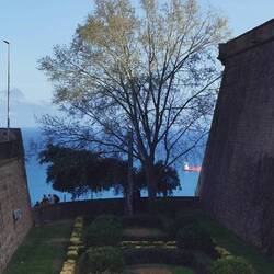 Ich finde die Farbkombination irre!