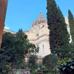 Im Schatten des Doms