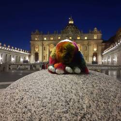 Gnocci will wieder kommen