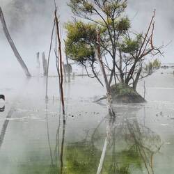 Surprised to see this bird feeding in this water