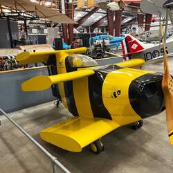 The worlds smallest plane