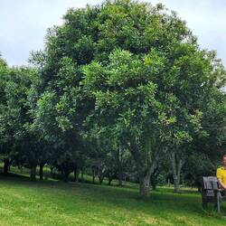 Just hanging with the nuts in the orchard 😉
