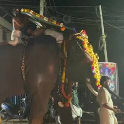 Shivaatri Festival