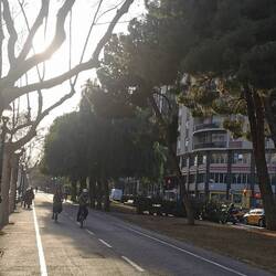 So gefällt mir Radfahren - wie die Promenade in Münster, nur die Bäume haben (noch?) keine Blätter
