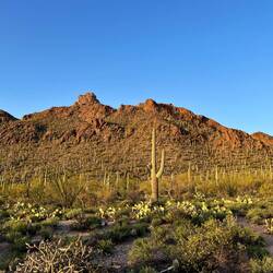 Sunset at Gates Pass