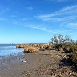 Parc Natural del Delta de l'Ebre