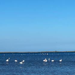 Parc Natural del Delta de l'Ebre