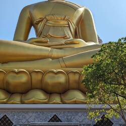 This one standing at crazy 70 meters tall