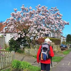 Sieht sogar sehr toll aus!