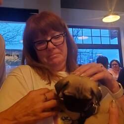 8 week old Pug puppy 😍