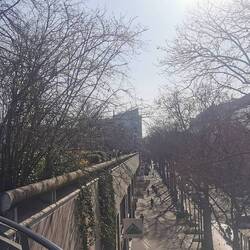 Wenn man sich das alles mit Blättern vorstellt 🤩!