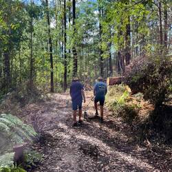 Walking the Lyre bird trail in 38 degrees!
