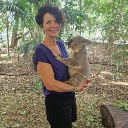 Koalas können bis -18 Jahre alt werden und 4-15 kg schwer