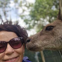 ..ein küsschen in Ehren.... was will es mir wohl mitteilen....