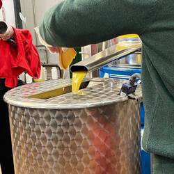 Tasting fresh unfiltered olive oil