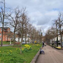 Flaniermeile entlang der Brunnenallee im Kurviertel