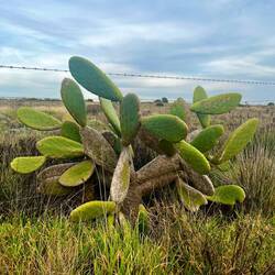 Aber auch der Wegesrand weiß zu gefallen.