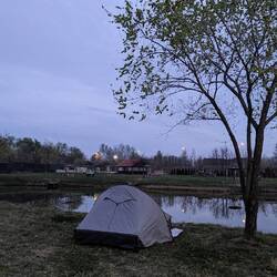 Face aux night fishers!