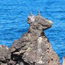 There he is, keeping watch over the sea.