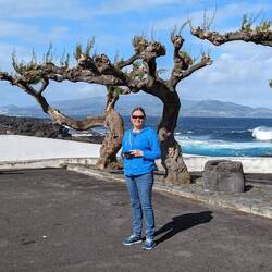 Faial Islandinntge background