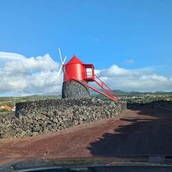 The wooden top of the windmills are often painted red