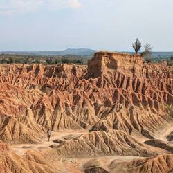 El Desierto Rojo - find Miel!