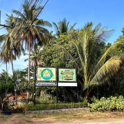 Hier gibt es einen Zipline and Canopy walk ... frage mich ob ich es machen soll?