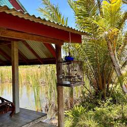 auch wieder mit 🐦‍⬛im Käfig