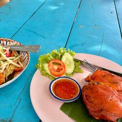 Grilled chicken and papaya salad