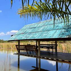 Kleiner Pavillon direkt hinter meinem Haus.