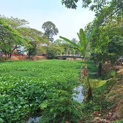 Walk back along the Siem Reap River