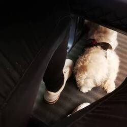 Don't tell Aluna I replaced her already