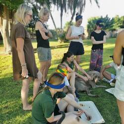 Geschnittenes Gemüse erfühlen und sortieren