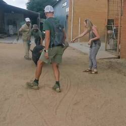 Chuckey, das Schwein soll zurück in sein Gehege 😂