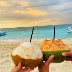 Abschieds-Kokosnuss 🥥