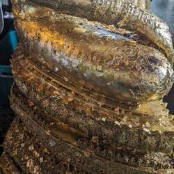 Said gold leaf, decorating statues