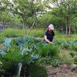 Aus dem wir dann gleich noch das Abendessen gepflückt haben