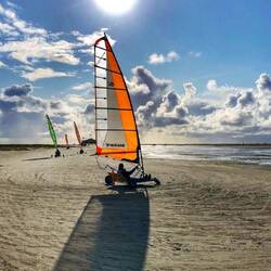 Strandsegler auf Schiermonnikoog
