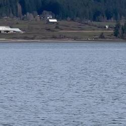 Unglaubliche Sichtung! Vorher waren sie sogar noch viel näher😍