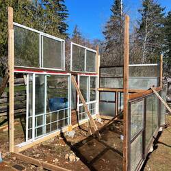 Selbstgemachtes Gewächshaus 😜