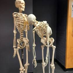 Me too, my bony friend. I feel you!