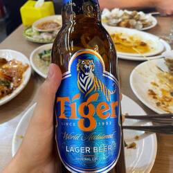 Der Löwe wird zum Tiger