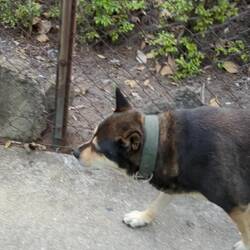 Unterwegs noch einen neuen Freund gefunden