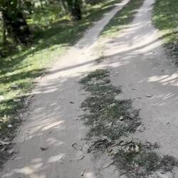 mal wieder schönere Radwege