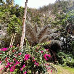 Was für Kletterfreunde 🧗🏼‍♂️