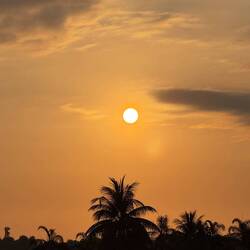 Sunrise