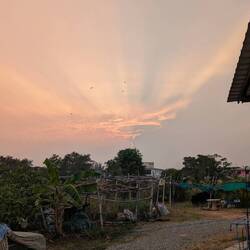 View out the back of the hostel