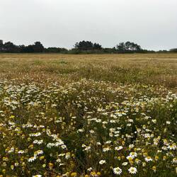 ..das Meer ein wenig aus dem Blickfeld gerät..