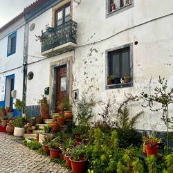 Die heutige Nacht wird also mal..